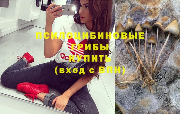 гашик Балабаново