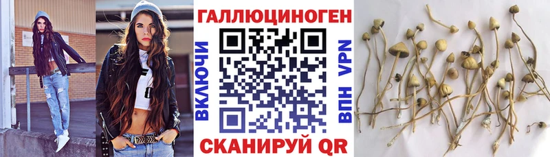 Галлюциногенные грибы Cubensis Юрьевец